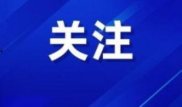 左江日报新闻爆料视频,揭秘新闻事件背后真相